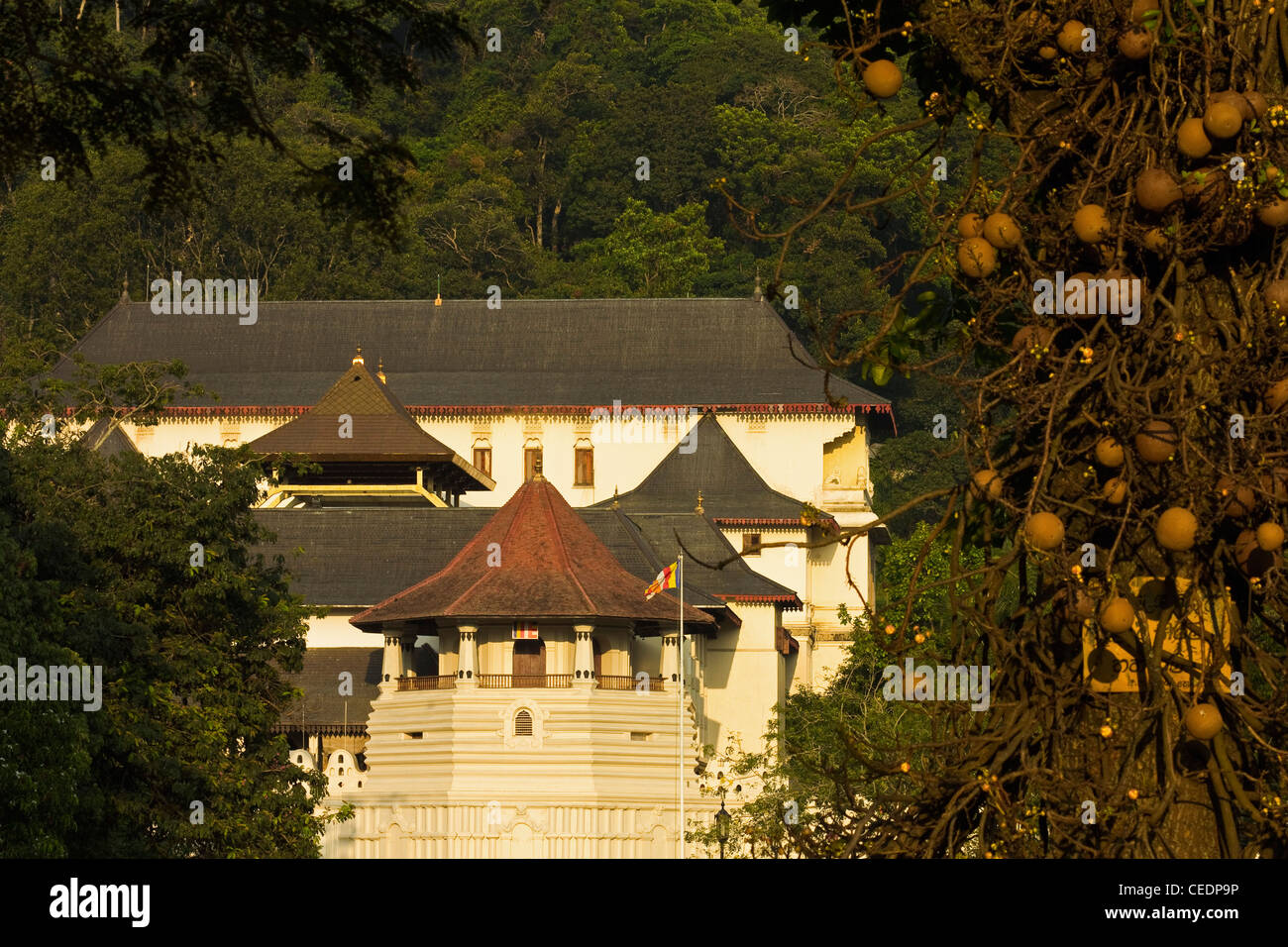 The Temple of the Sacred Tooth Relic at sunset, a major tourist attraction & site of Buddhist pilgrimage; Kandy, Sri Lanka, Asia Stock Photo