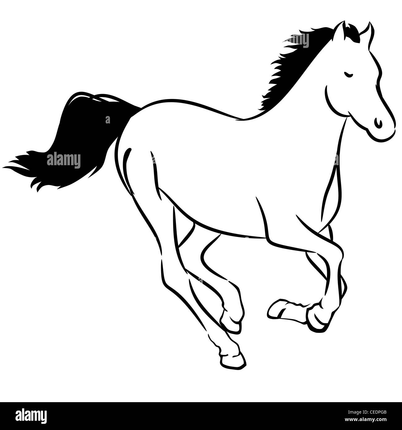 Running horse, line drawing Stock Photo Alamy