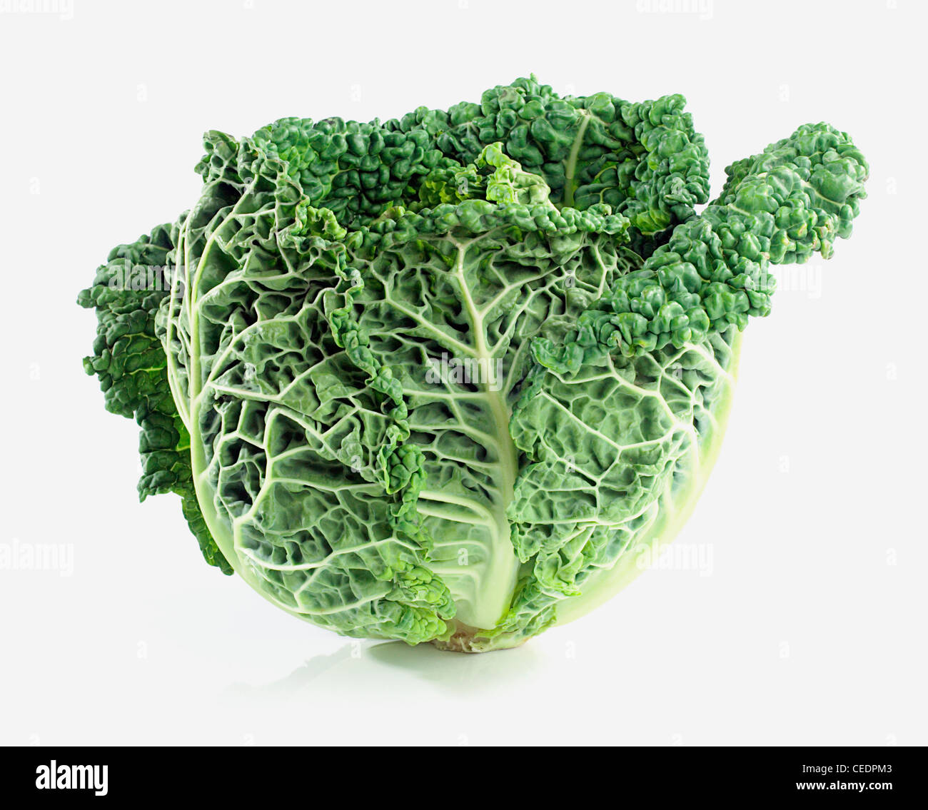 Petit Cabbage In French at Angel Martins blog