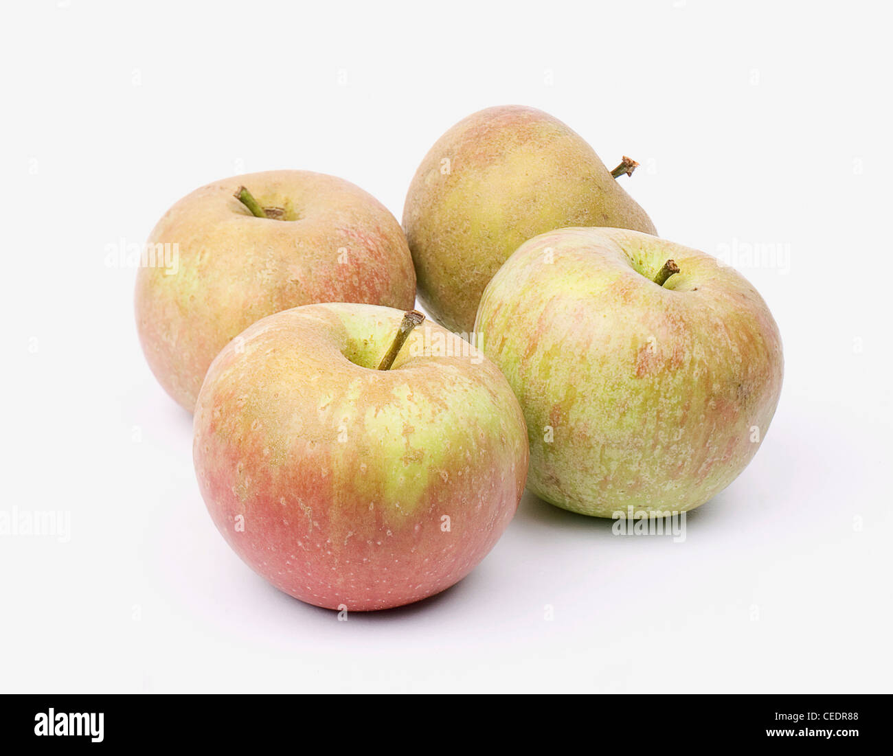 Four apples Stock Photo