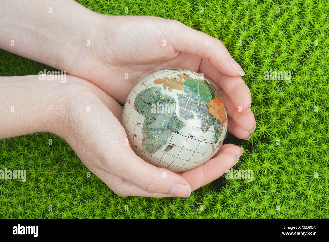 Save the world. Earth globe in a palm hands on green moss background. Stock Photo