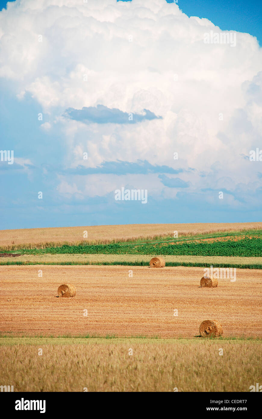 France, Burgundy, Cote d'Or, bales of hay in field Stock Photo