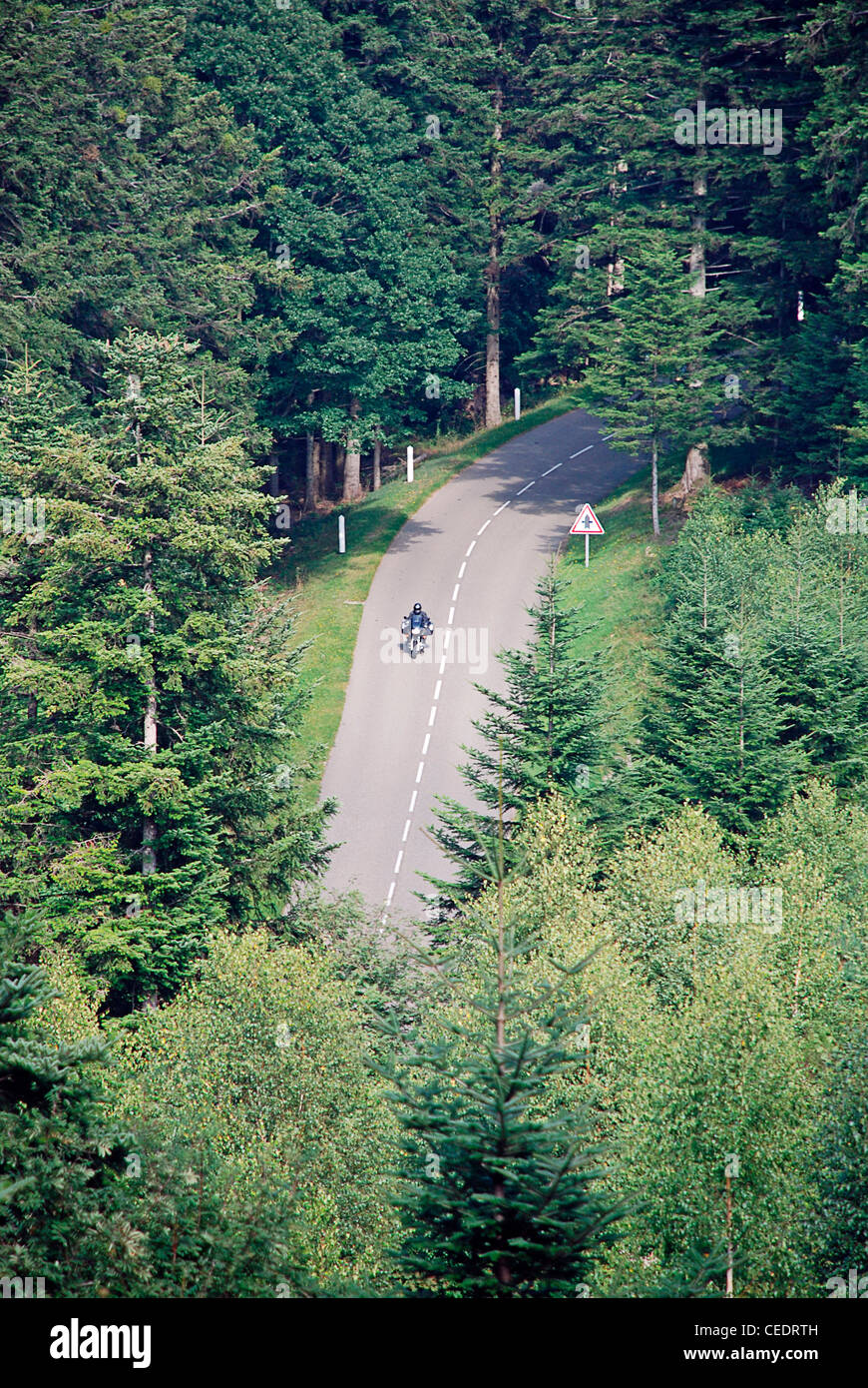 France, Lorraine, road through forest Stock Photo Alamy