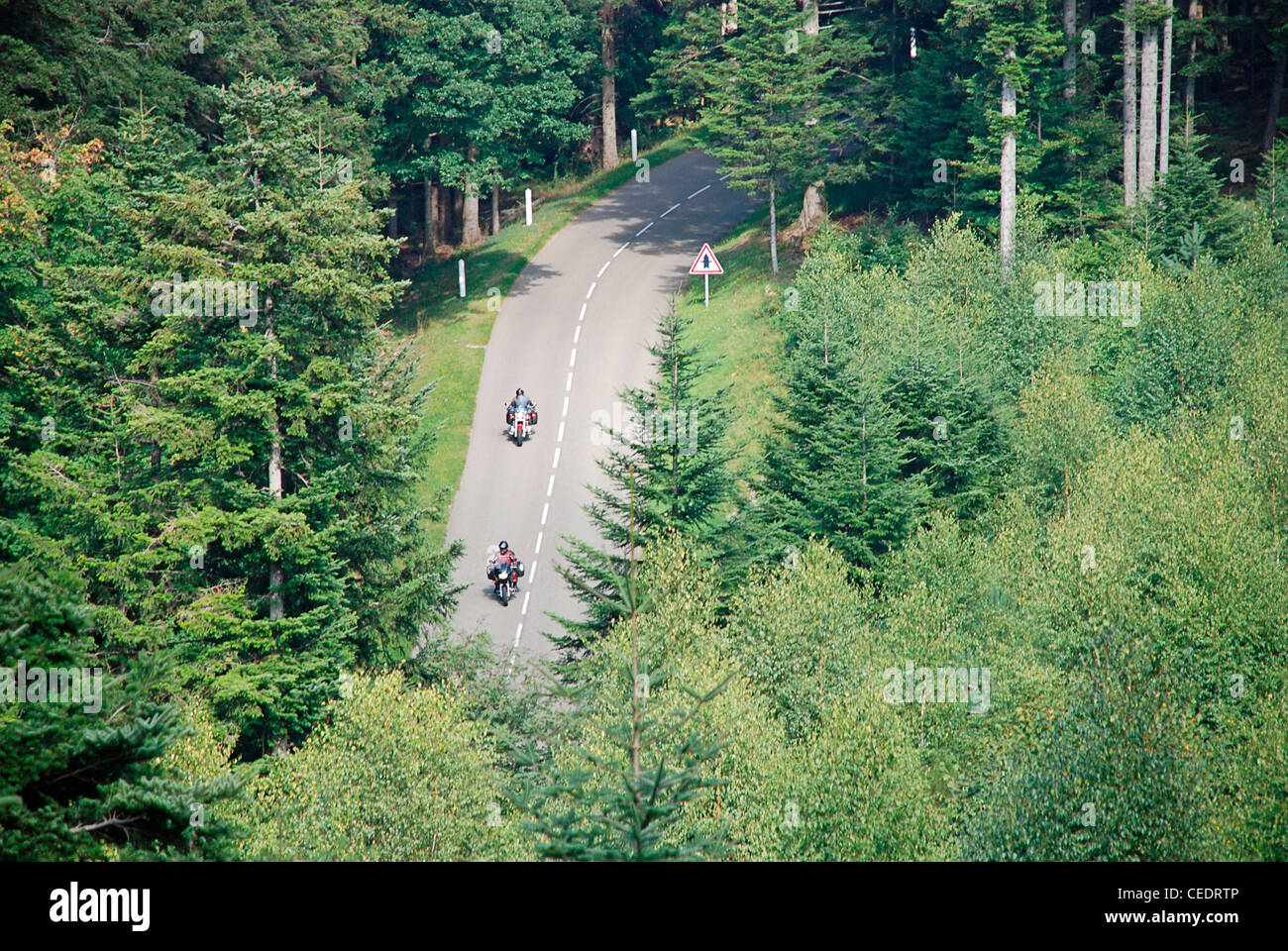 France, Lorraine, road through forest Stock Photo Alamy