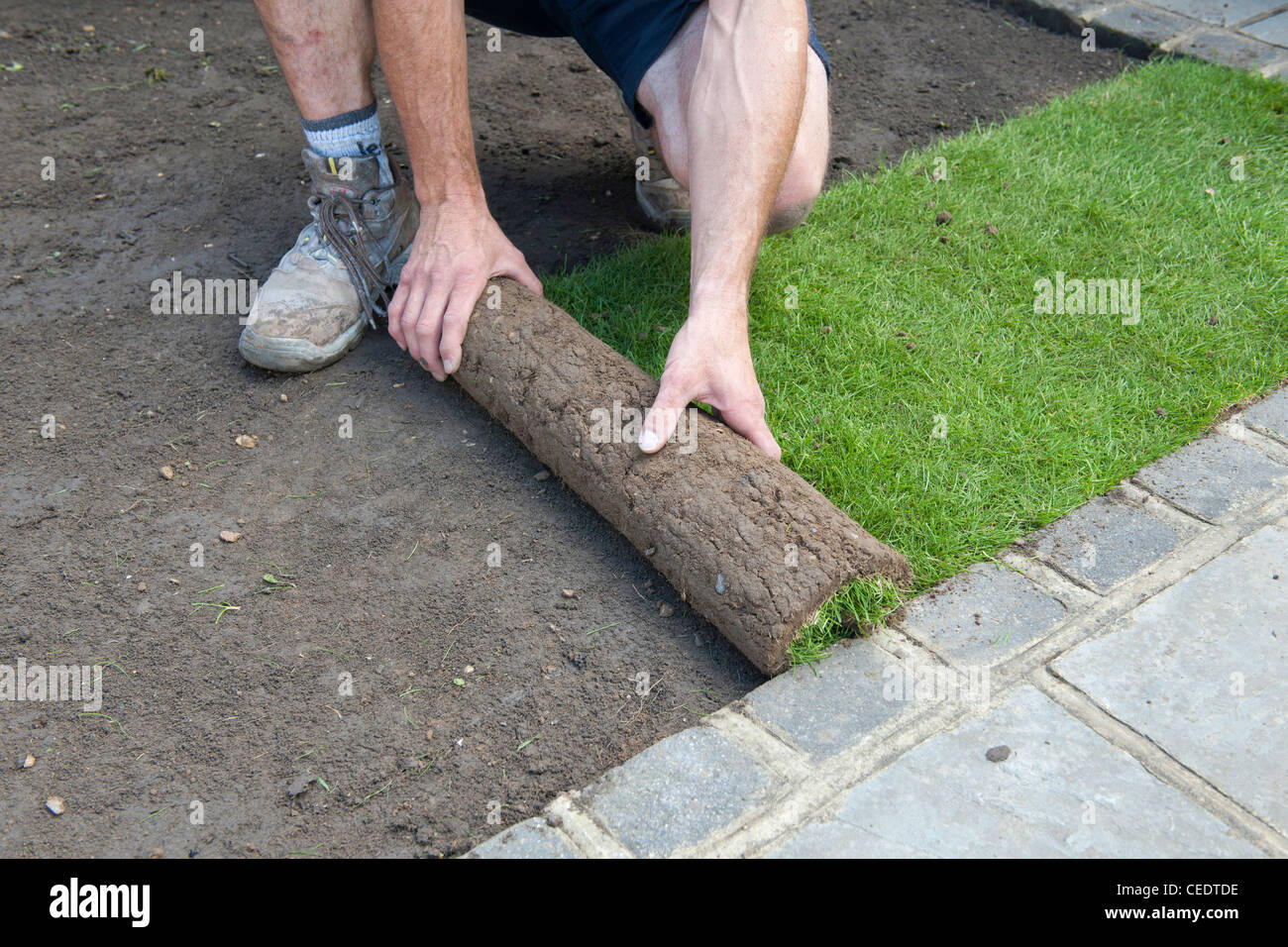 Turf rolling hires stock photography and images Alamy