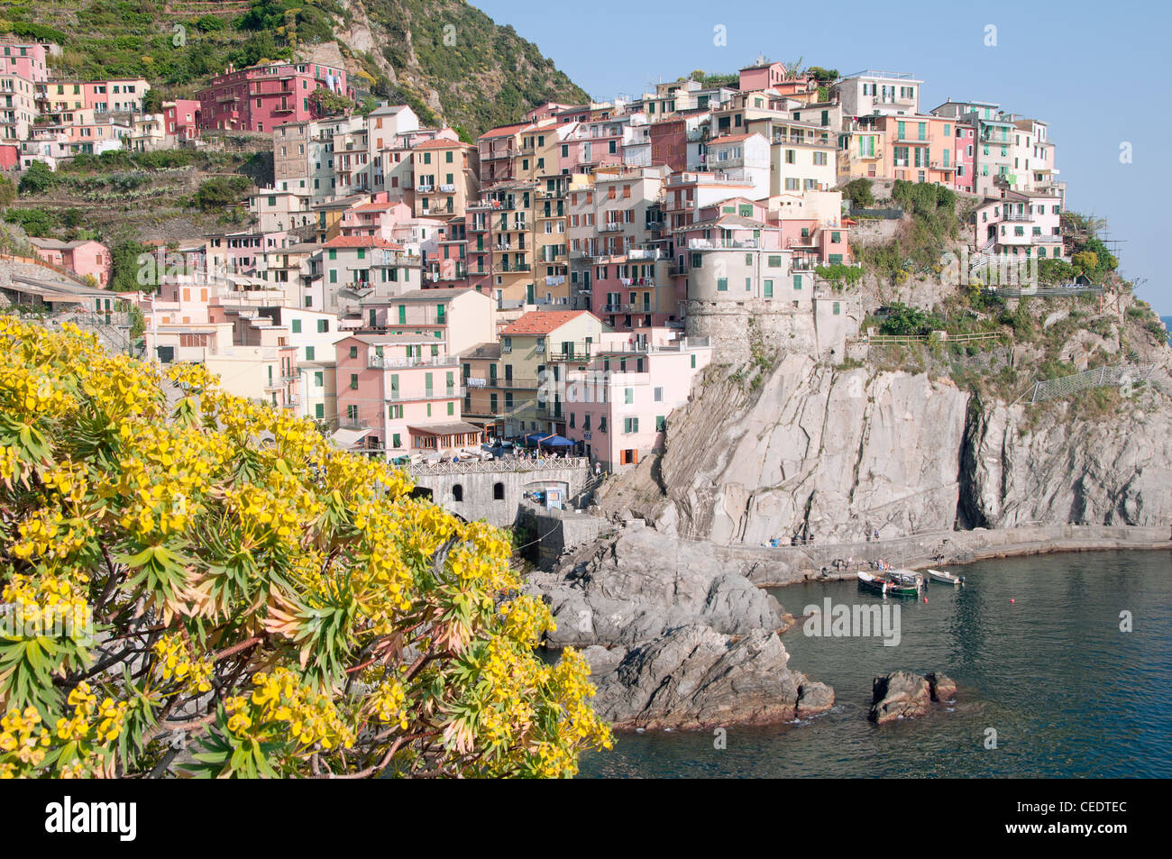 Italy, Liguria, Cinque Terre, Manarola, clifftop village Stock Photo