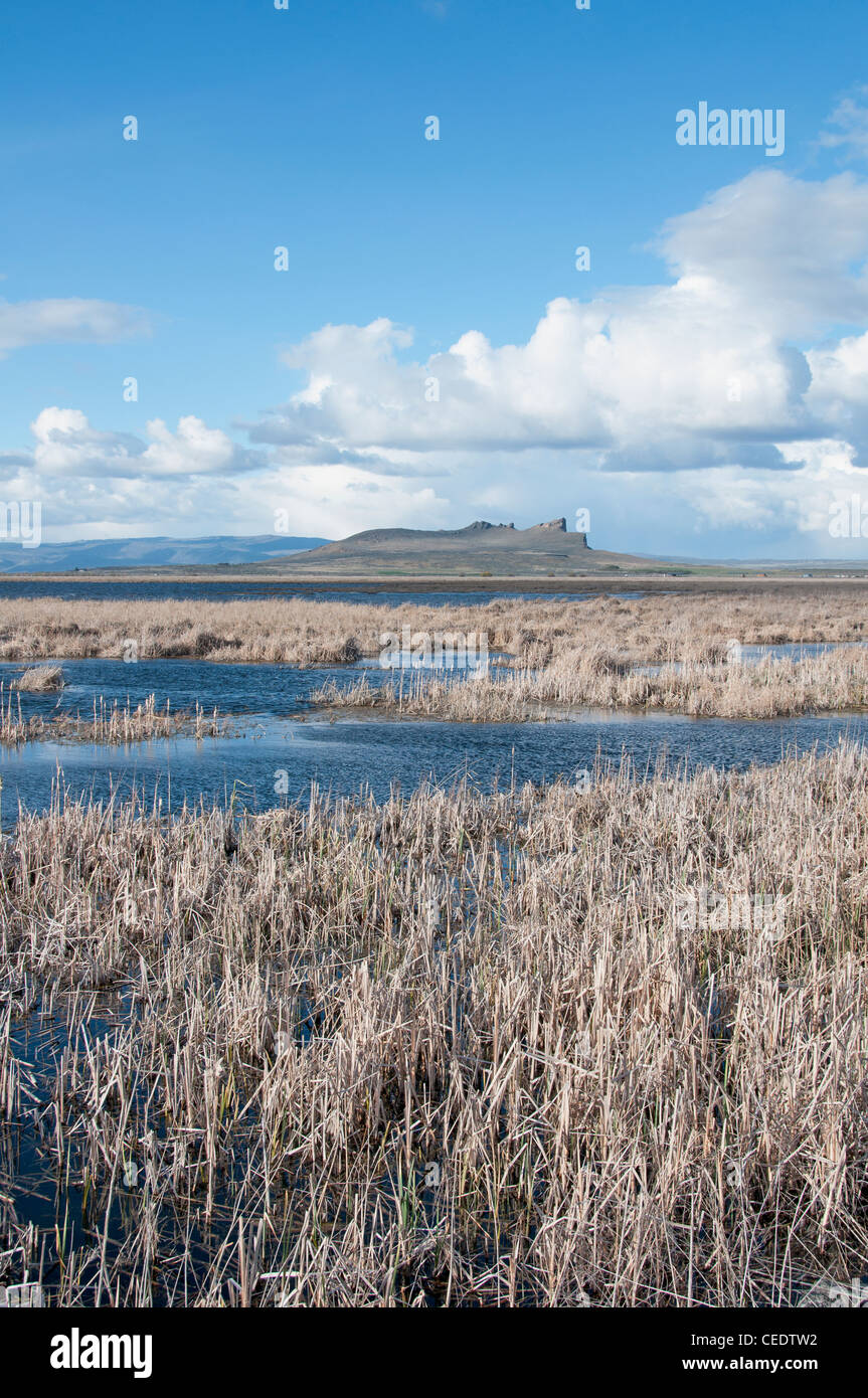 Tule lake wildlife refuge hires stock photography and images Alamy