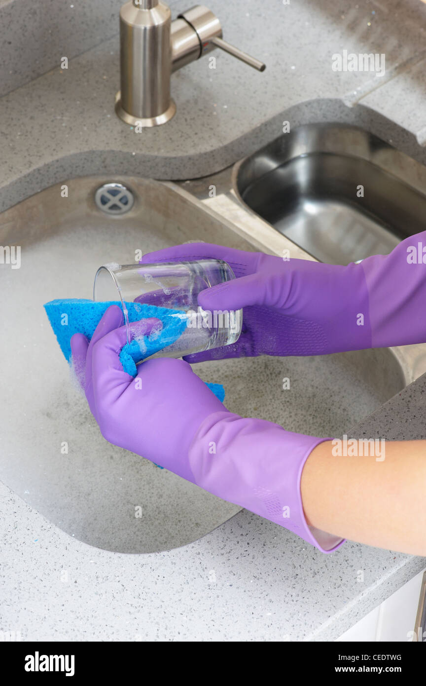 Woman in purple rubber gloves cleaning electric kettle with sponge Stock  Photo - Alamy