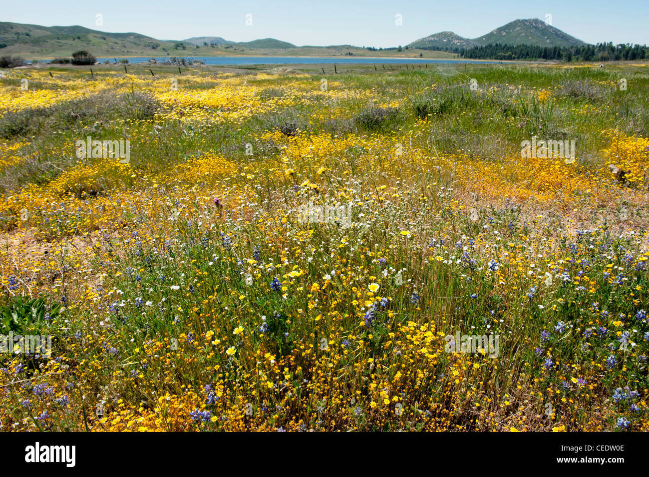 USA, California, San Diego County, Cuyamaca Rancho State Park Stock Photo