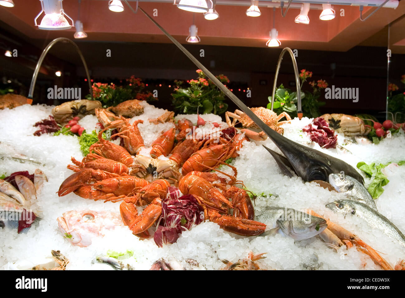 Seafood displayed outside of a restaurant in Venice, Northern Italy. Stock Photo