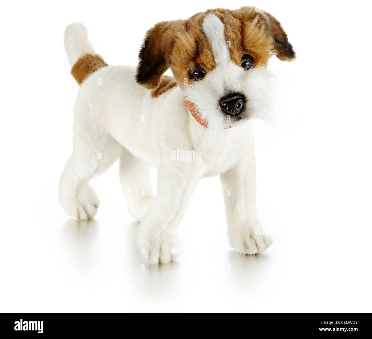 Jack Russell soft toy dog Stock Photo