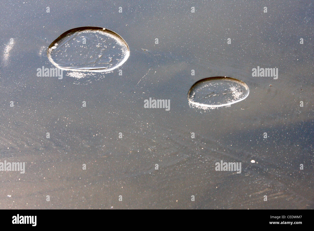 Air bubbles under ice Stock Photo