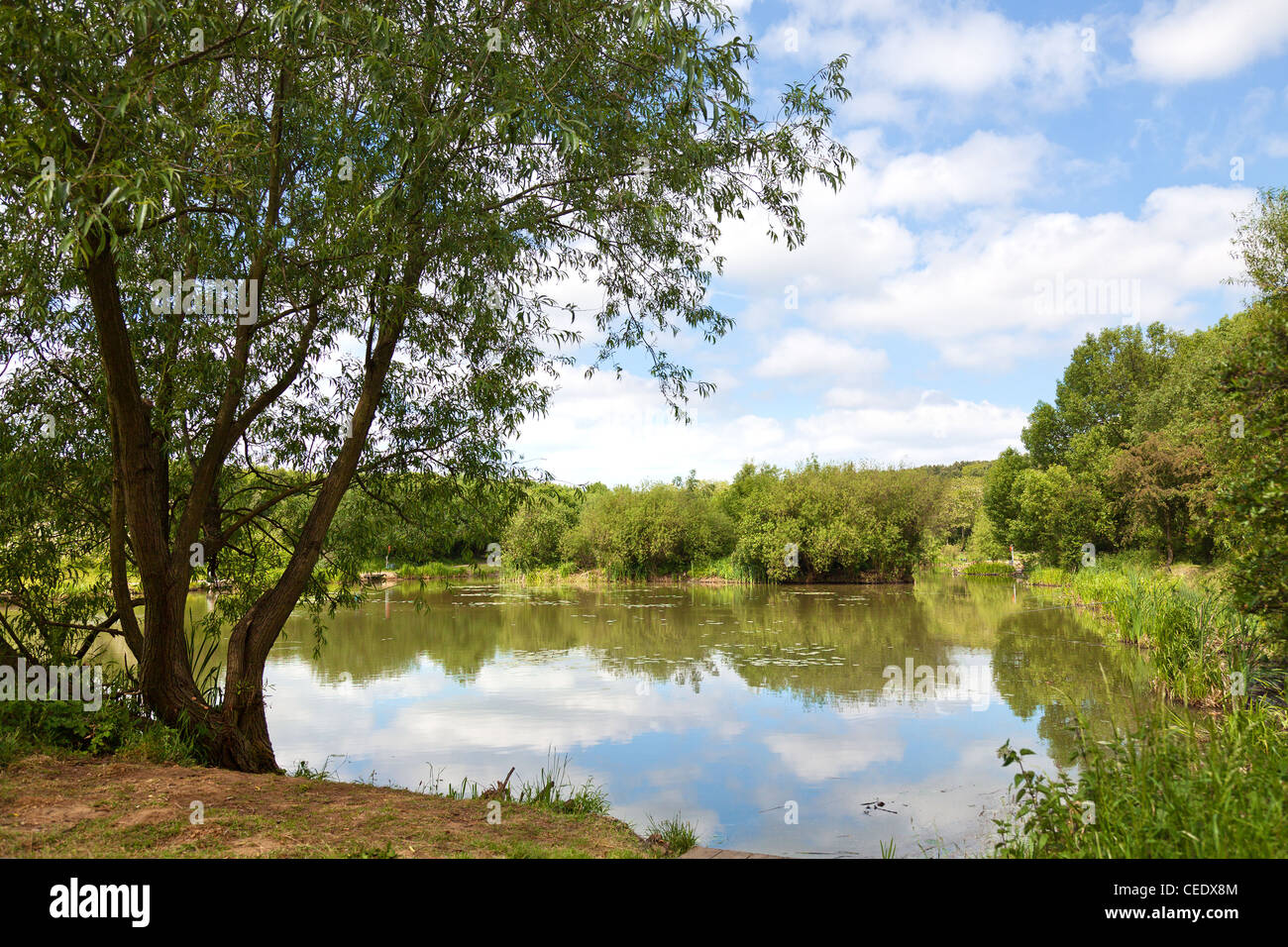 fishing lake in yorkshire,uk Stock Photo Alamy