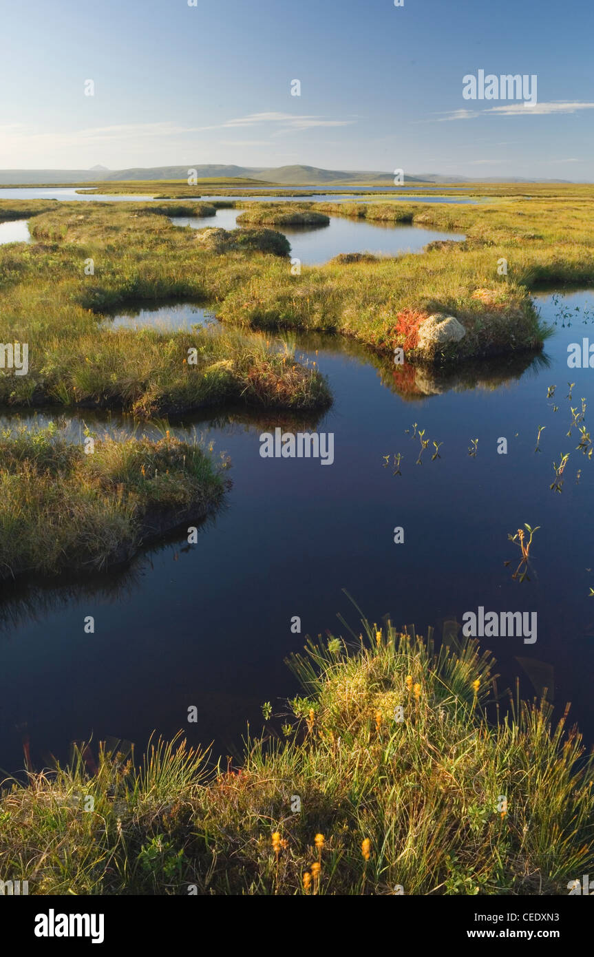 Forsinard flows hires stock photography and images Alamy