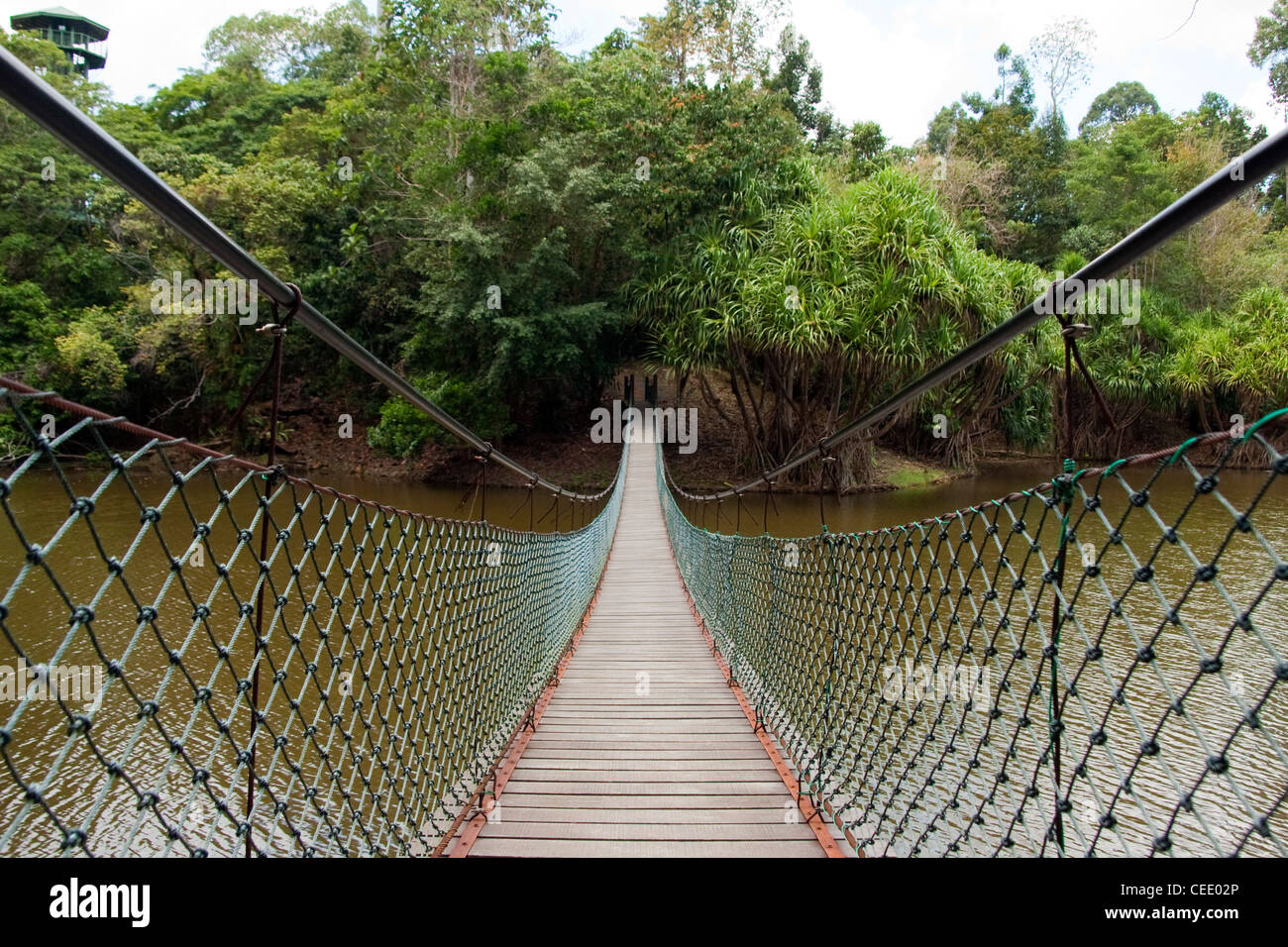 suspention bridge in nature Stock Photo - Alamy