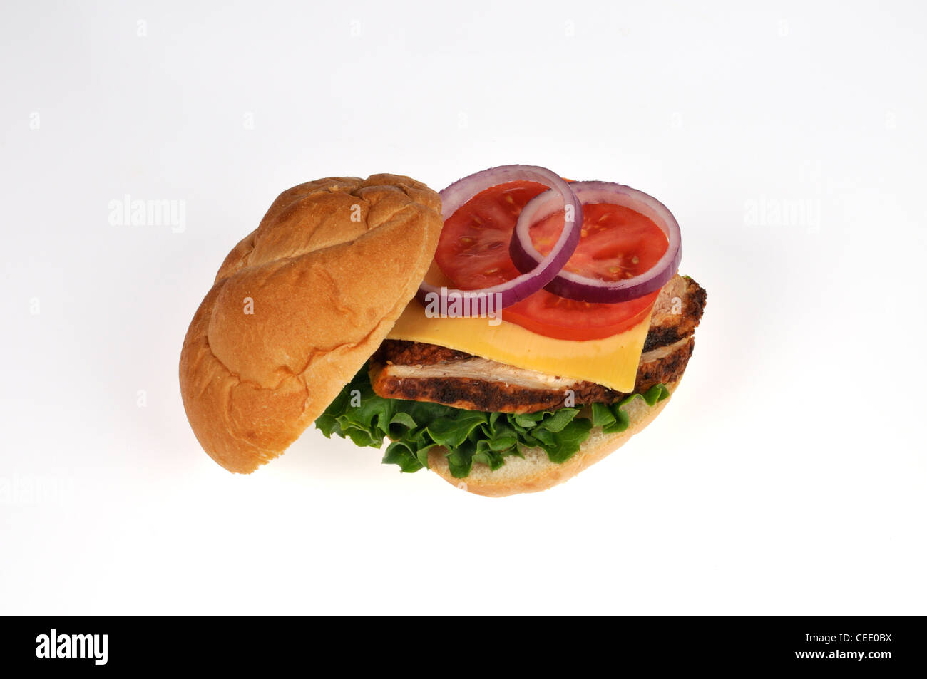 Sliced chicken salad sandwich with cheese lettuce and tomato in bread roll on white background cutout. Stock Photo