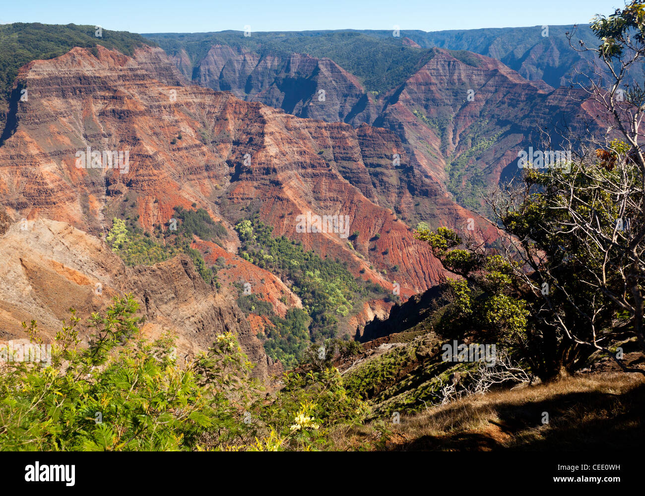 Early light illuminates the steep rock sides of Waimea Canyon on Kauai, Hawaii Stock Photo