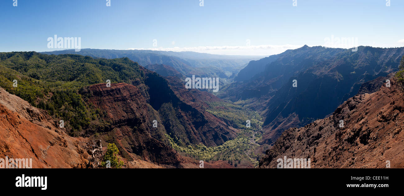 Panoramic shot of the steep rock sides of Waimea Canyone on Kauai Stock Photo