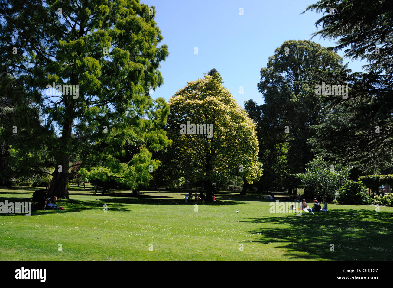In the grounds of Hagley Park in Christchurch, New Zealand Stock Photo ...