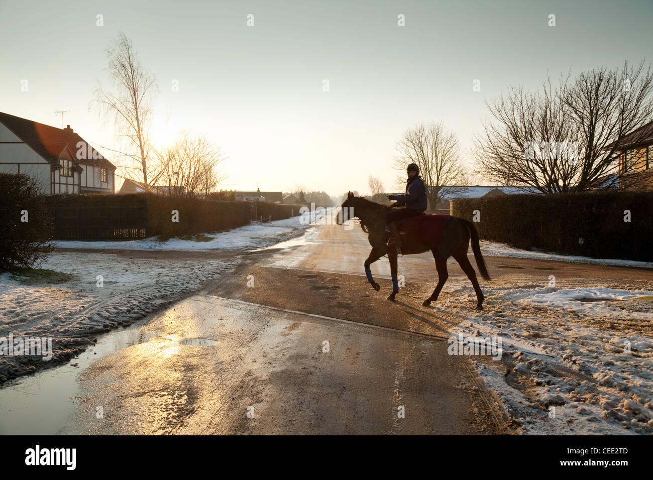 A horse and rider cross the road at sunrise, dawn in winter, Newmarket Suffolk UK Stock Photo