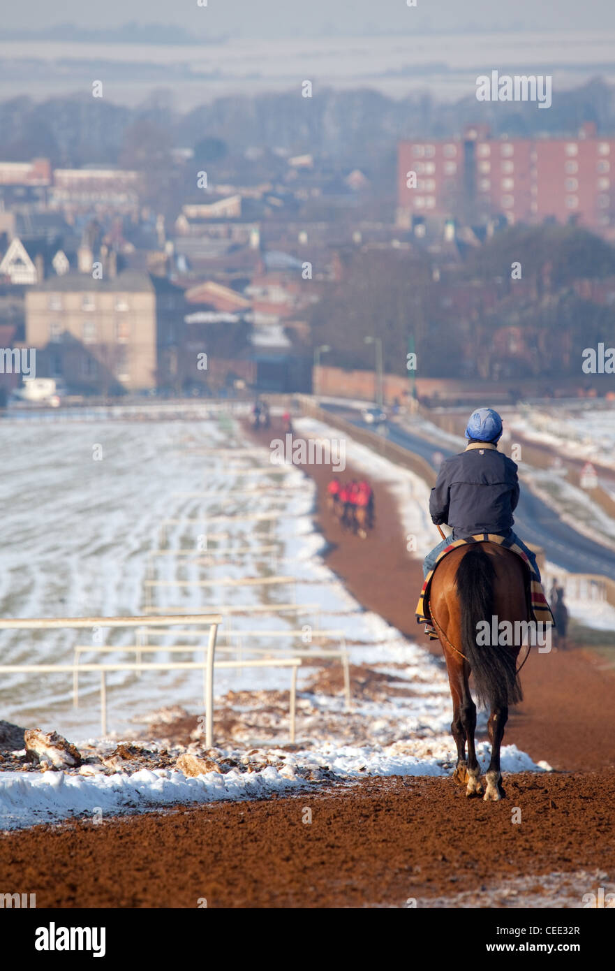 Racehorse and jockey on the gallops in the winter snow, Warren Hill training ground, Newmarket Suffolk UK Stock Photo