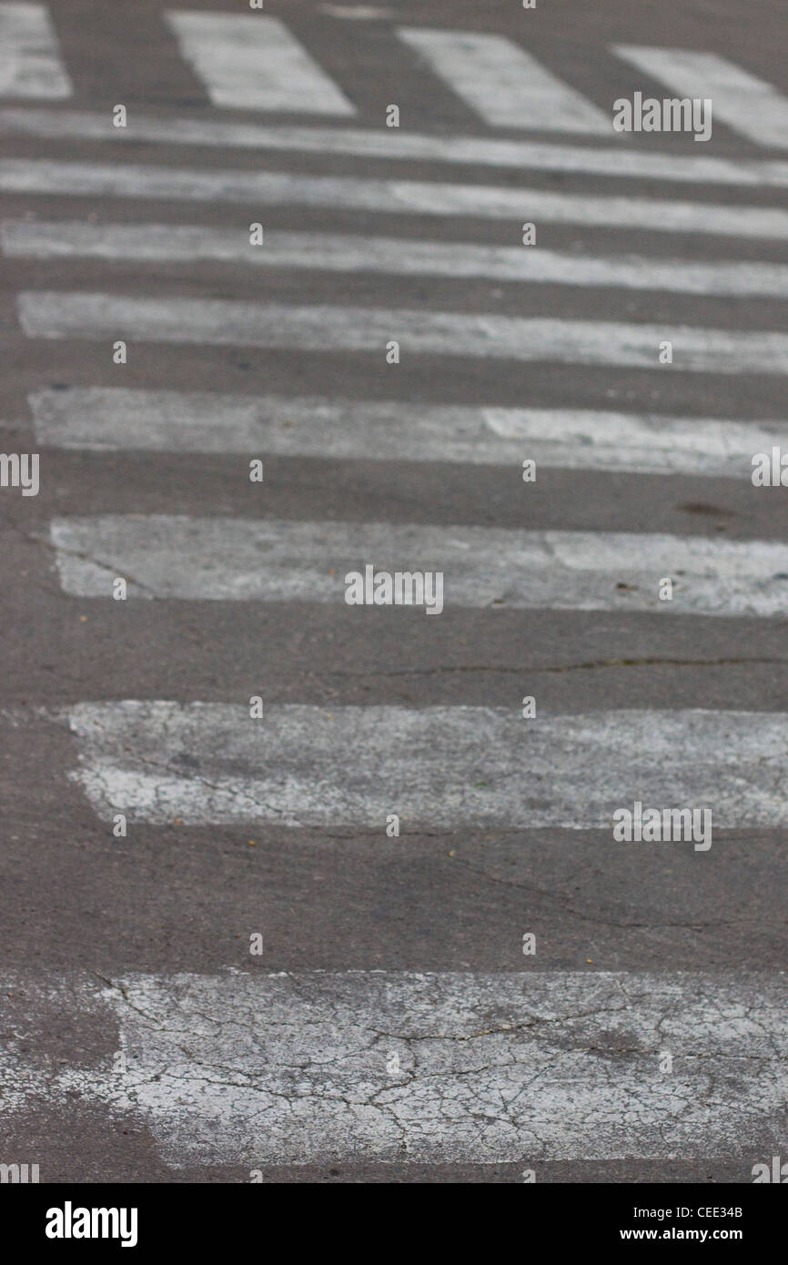 A Zebra Crossing on the streets of Rome Italy Stock Photo Alamy