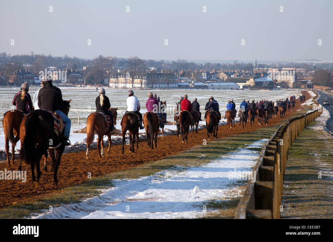 Racehorses and jockeys on the gallops, Warren Hill training ground, Newmarket, Suffolk UK Stock Photo