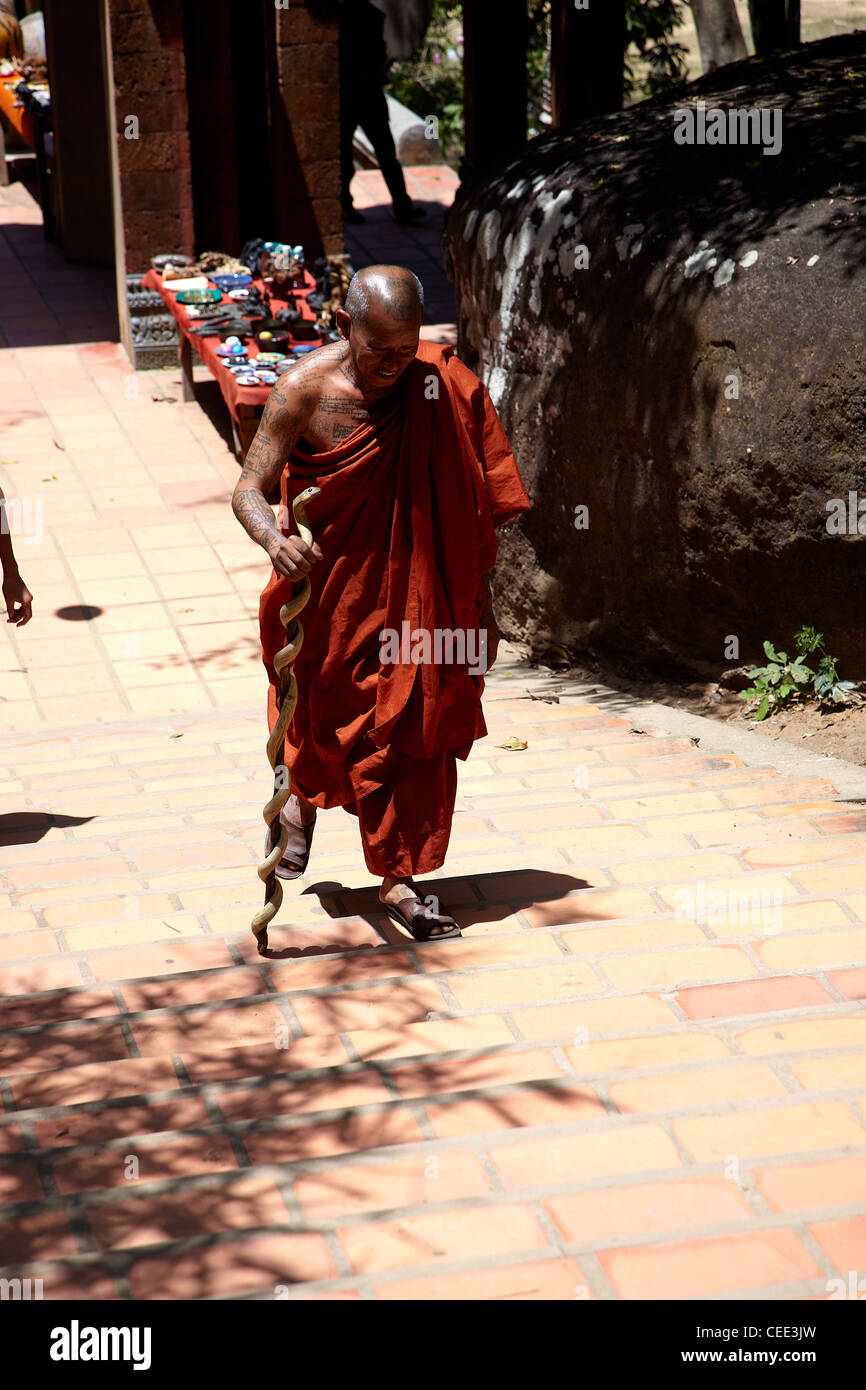 Walking stick steps stairs hires stock photography and images Alamy