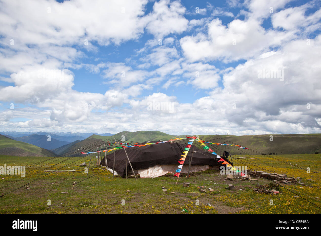 Tibetan nomads traditional yak tent with prayer flags western between Tagong and Litang China Asia Stock Photo
