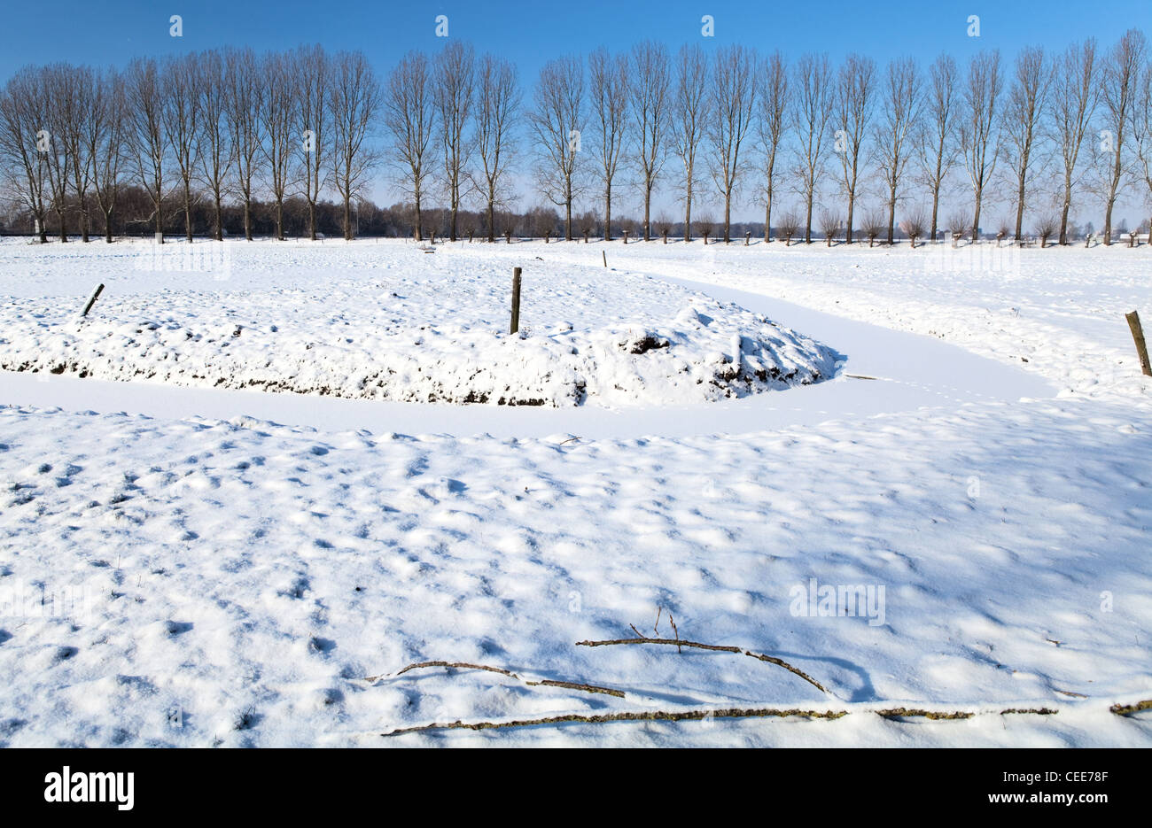 Snow covered field horizon line hi-res stock photography and images - Alamy