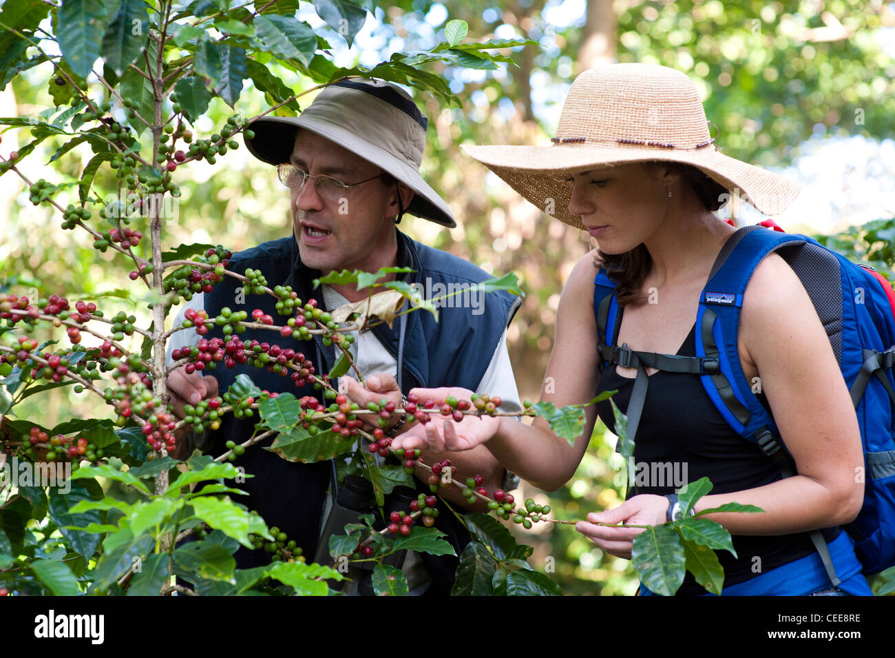 Costa rica coffee cup hi-res stock photography and images - Alamy