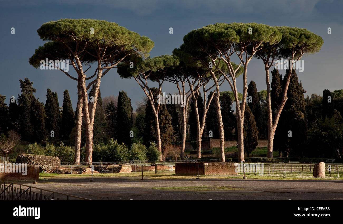 Rom, Caracalla Thermen, Thermae Antoninianae Stock Photo