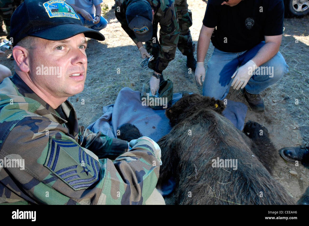 Sgt woods hi-res stock photography and images - Alamy