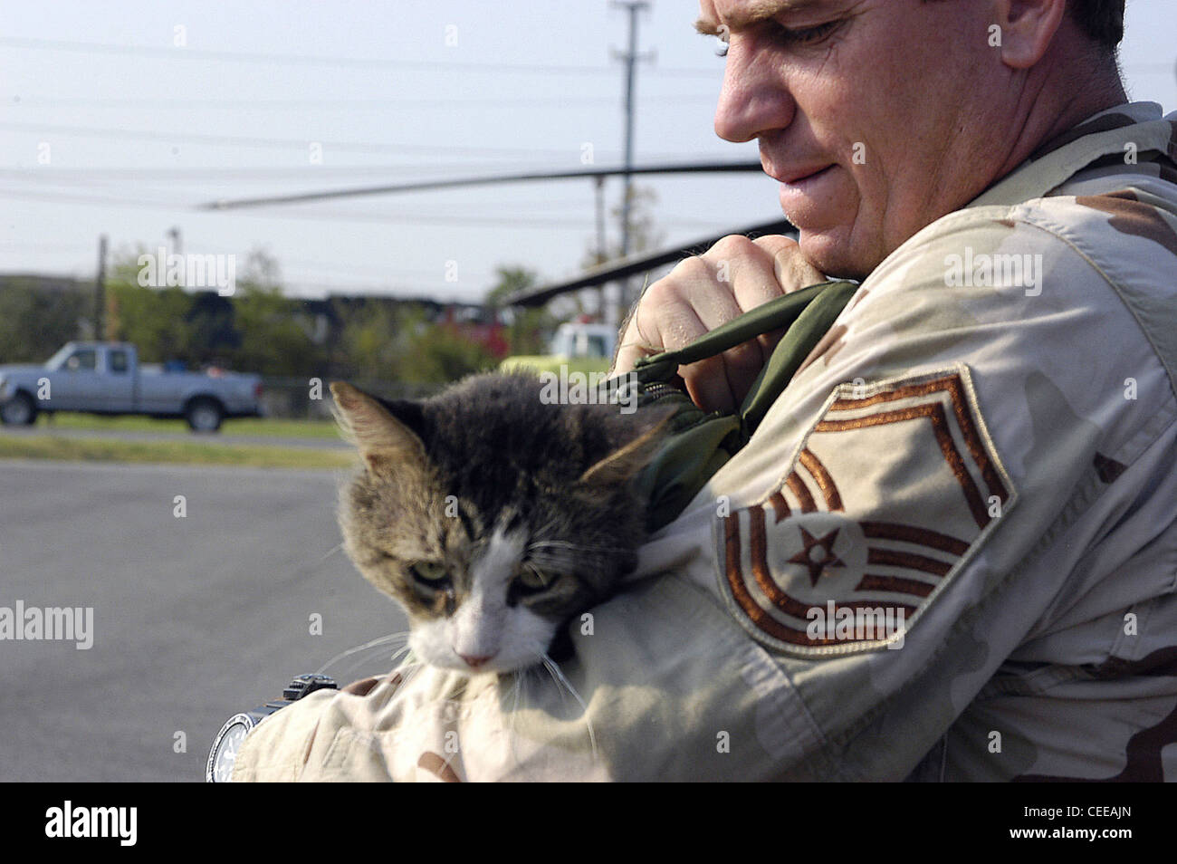 Servicemembers inbound or outbound to misawa air base hires stock