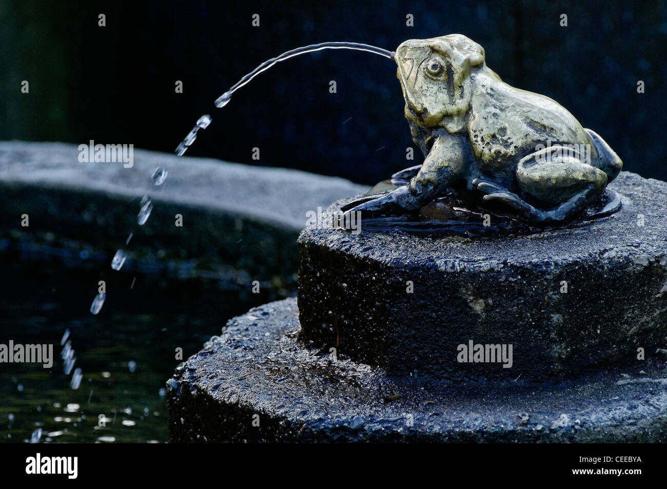 Frog fountain garden hi-res stock photography and images - Alamy