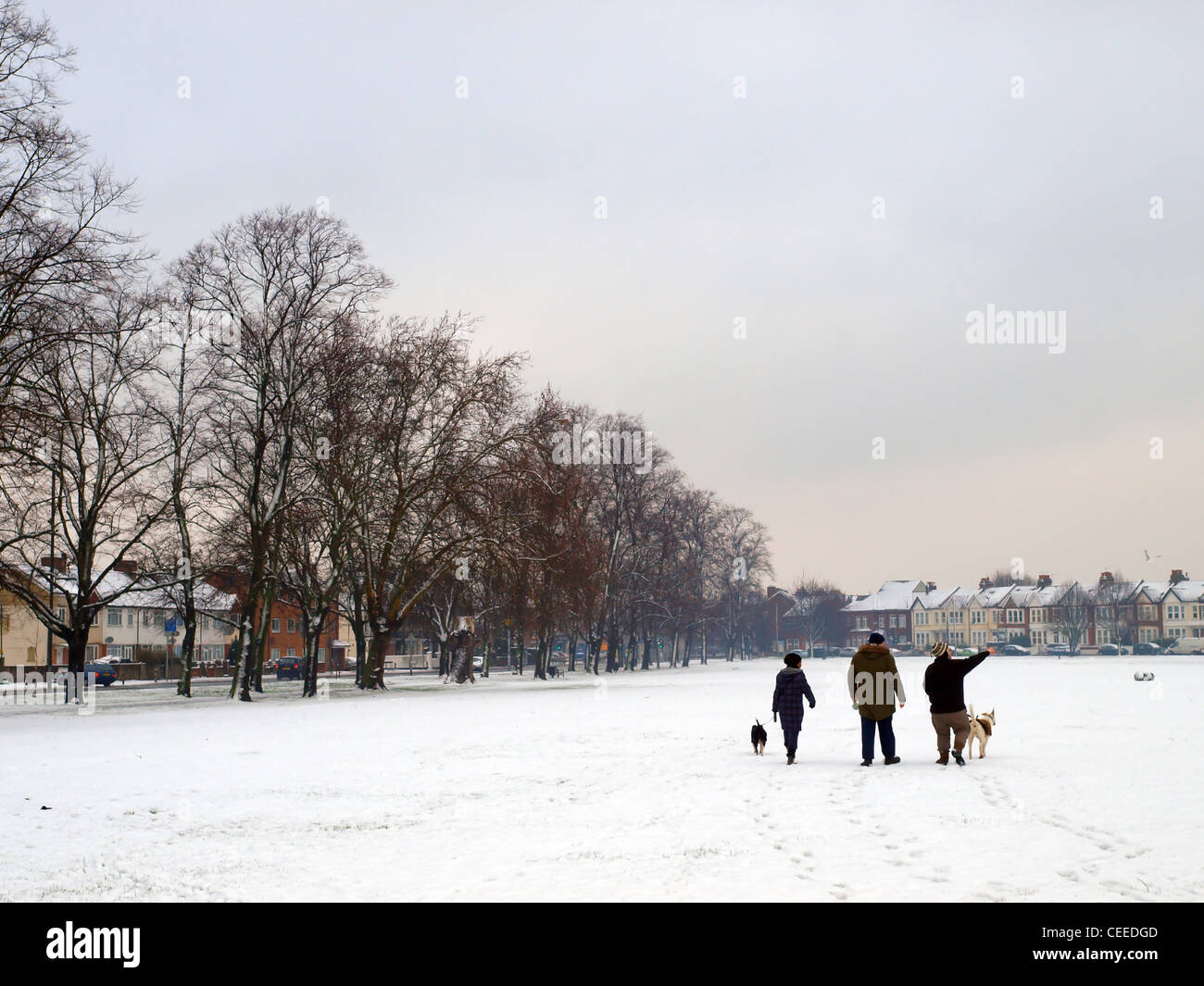 Despite the cold weather, people are stll out walking their dogs Stock ...