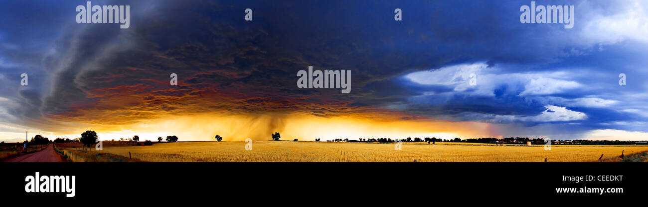 Thunderstorm panorama blowing in from the west at sunset in rural Colorado. Stock Photo