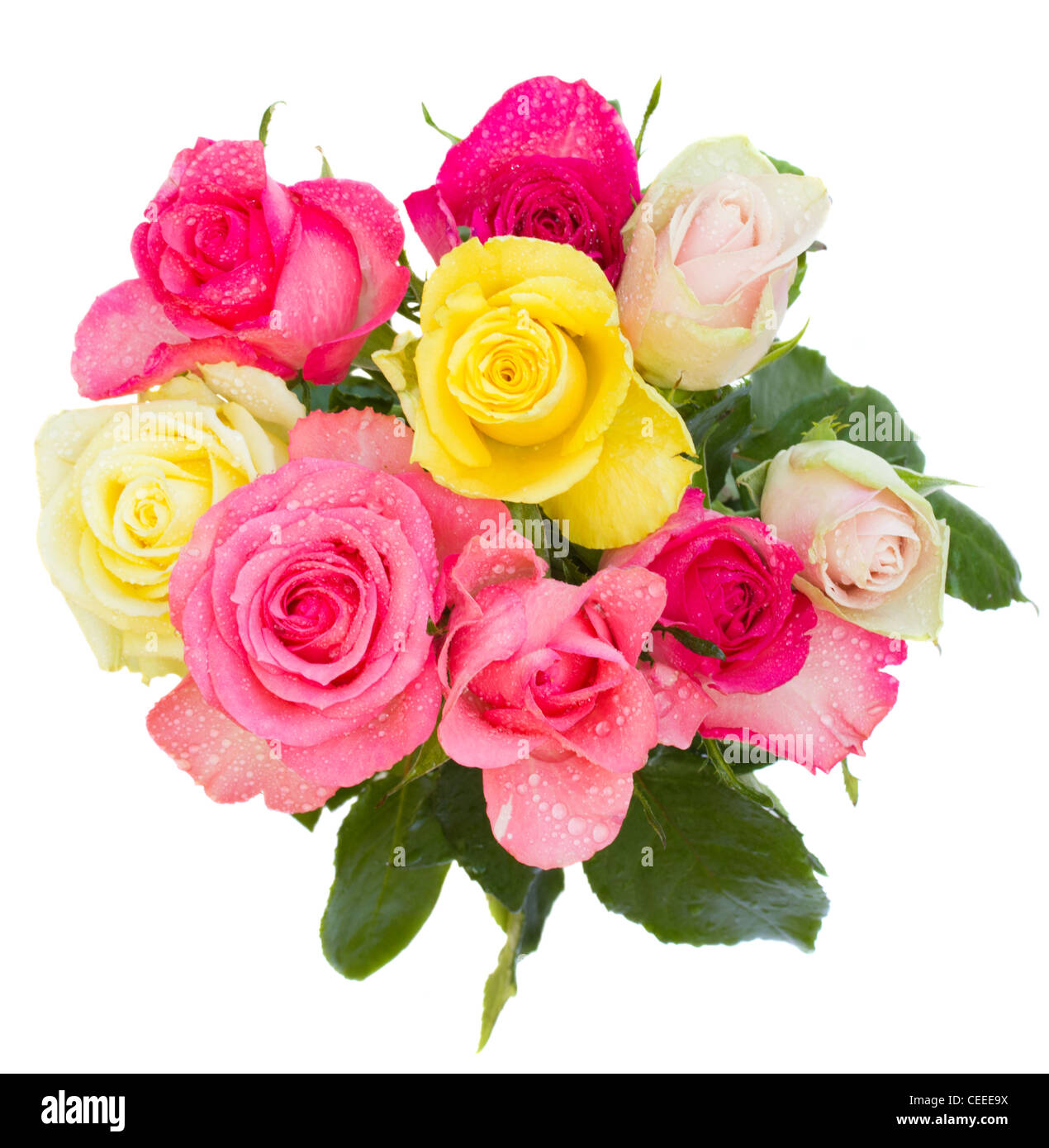 round bouquet of roses isolated on white background Stock Photo Alamy