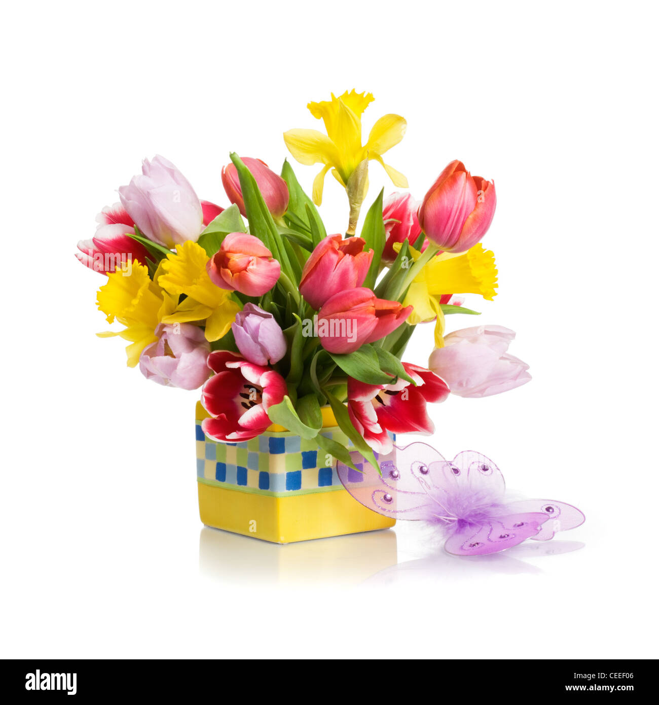 Flower pot with spring flowers and butterfly on white background ...