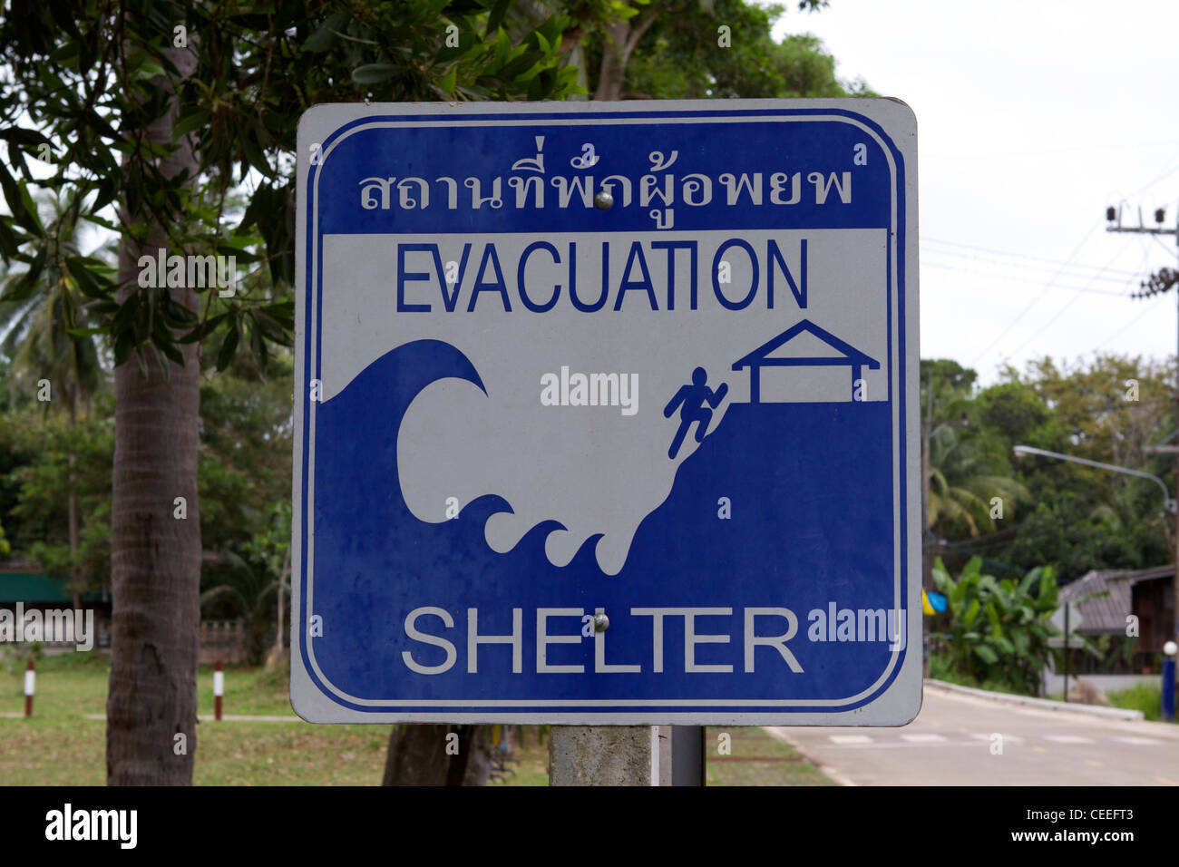Is koh samui safe from tsunami