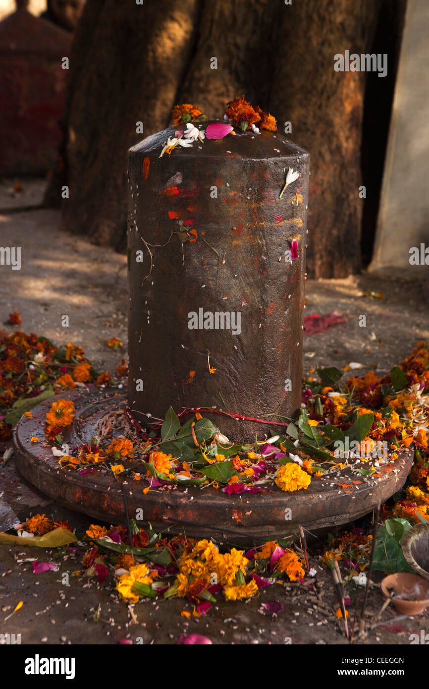 India, Uttar Pradesh, Varanasi, Assi Ghat, Asi-Sangameshwara shiva shrine flower offerings decorating limgam Stock Photo