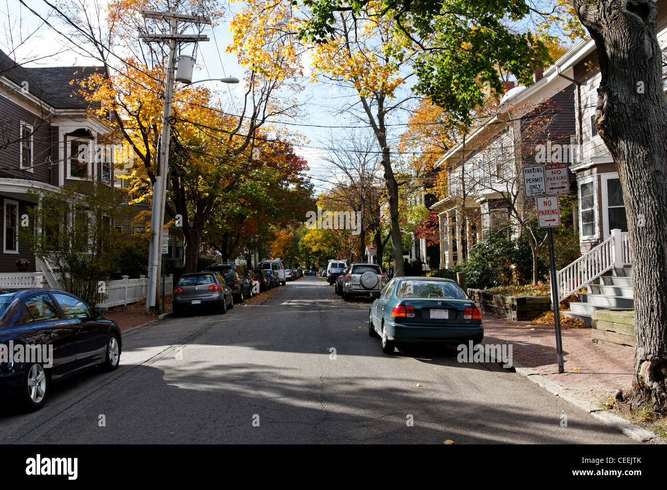 A typical New England residential street in Cambridge, Massachusetts