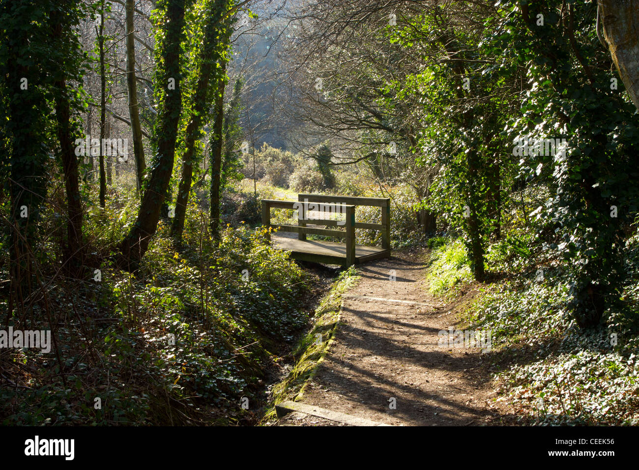 Path through Tuckingmill Valley Park near Camborne, Cornwall UK Stock