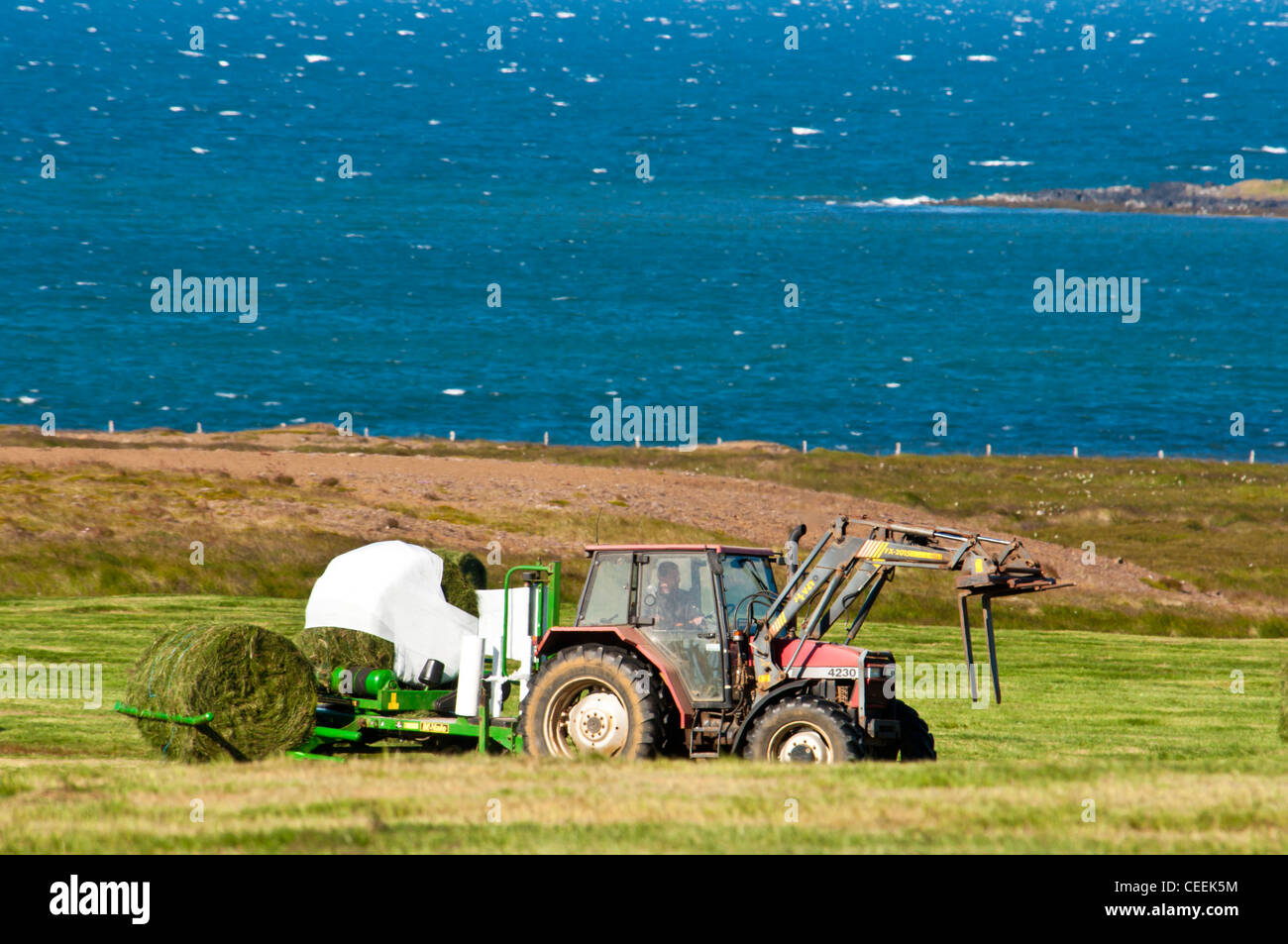 Agriculture in Vatnses peninsula. North Iceland Stock Photo Alamy