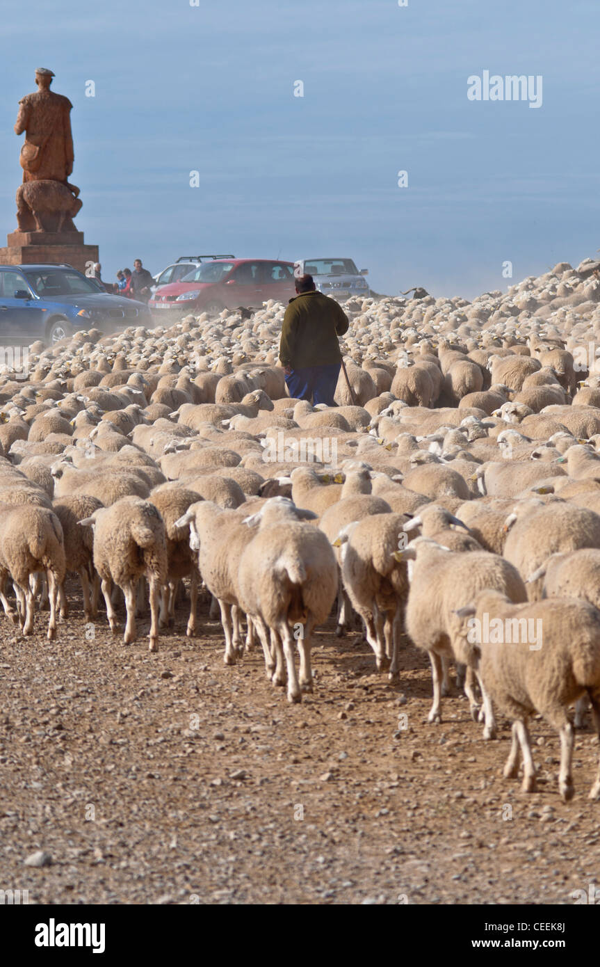 Seasonal migration of livestock in Bardenas Reales de Navarra. Navarre