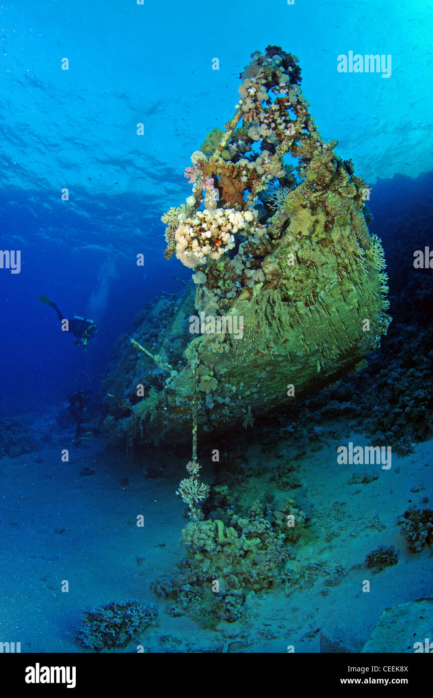 Shipwreck, St John's Reef, Red Sea Stock Photo