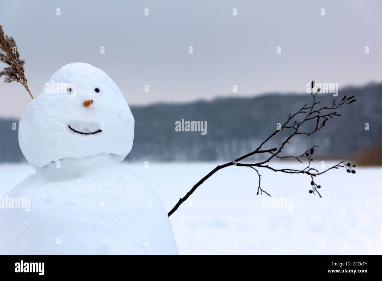 A smiling happy snowman raises the twig it has for an arm in greeting before the background of a frozen lake and forest. Stock Photo