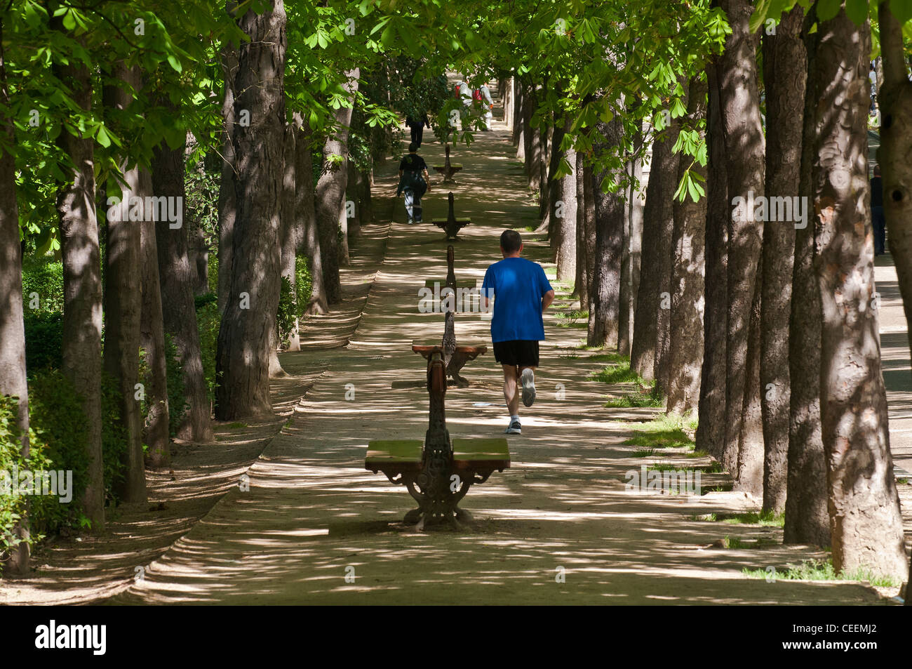 Jogging in the Retiro Park, Madrid, Spain. Stock Photo