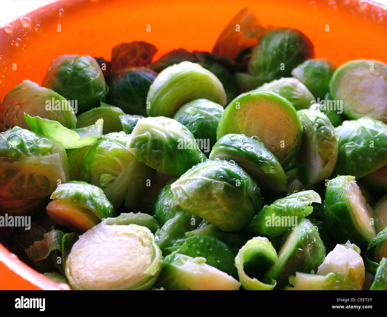 Brussels Sprouts close up Stock Photo Alamy