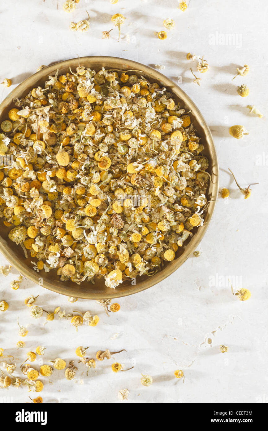 Dried Chamomile flowers Stock Photo